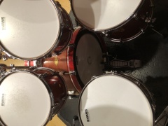 投稿写真 Masters PREMIUM MAPLE SST