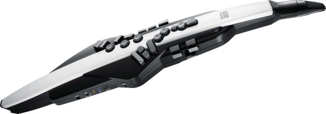 Roland Aerophone AE-20