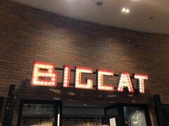 大阪のショップ 心斎橋BIGCAT 4Fフロア