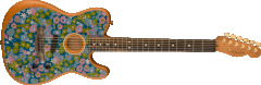 Fenderの楽器・機材 Fender AA Telecaster BLUE FLOWER