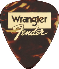 Fenderの楽器・機材 Fender Celluloid Picks